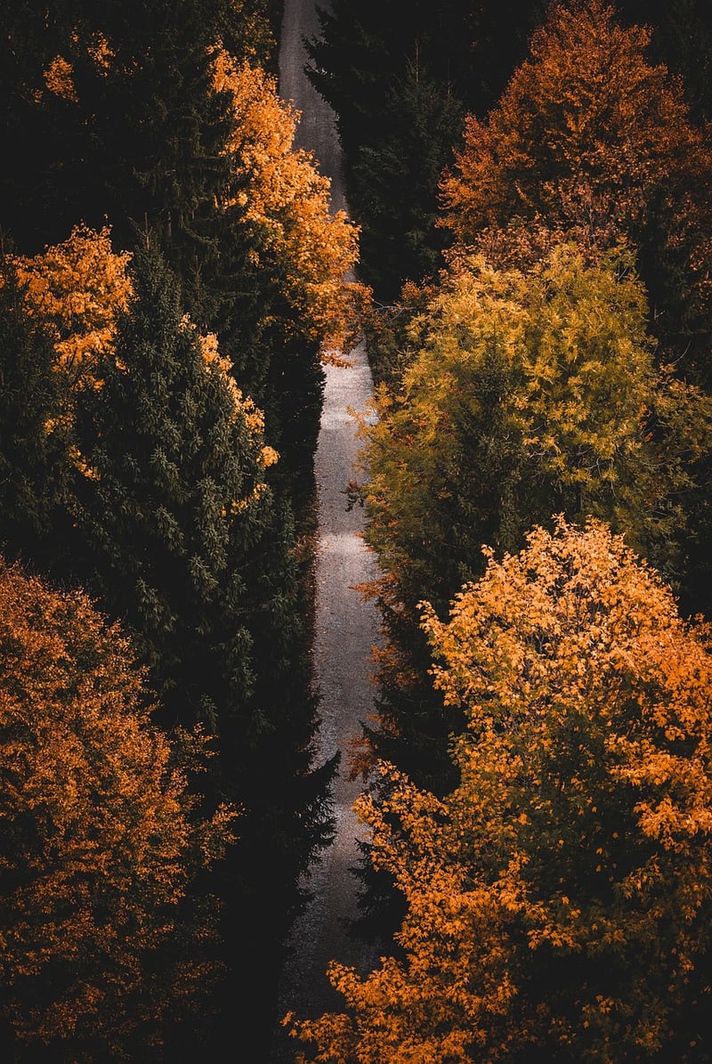 Hiking in the mountains