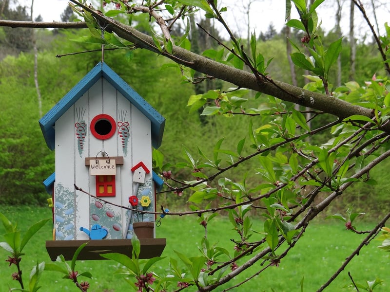 Treehouse Exterior